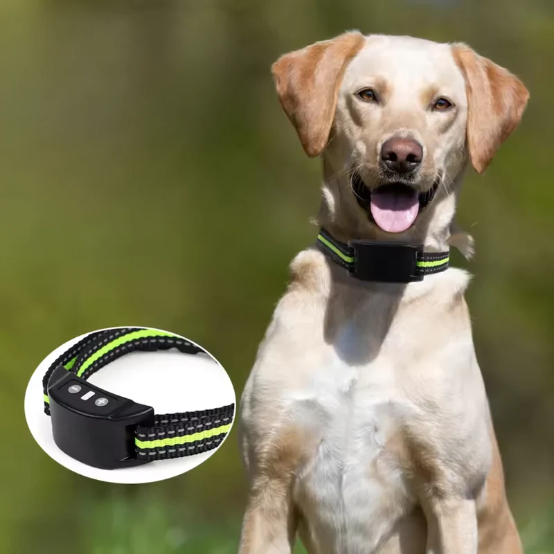 Automatisches Anti-Bell-Halsband mit Ton & Impuls