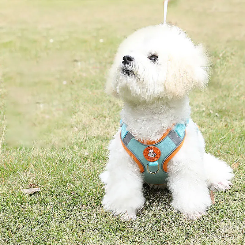 Atmungsaktives Hundegeschirr verstellbar & bequem