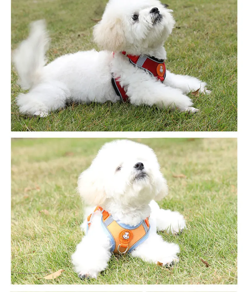 Atmungsaktives Hundegeschirr verstellbar & bequem