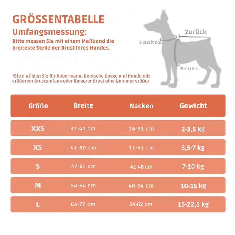 Atmungsaktives Hundegeschirr verstellbar & bequem