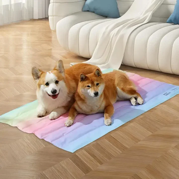 Regenbogen Kühlmatte für Hunde & Katzen faltbar