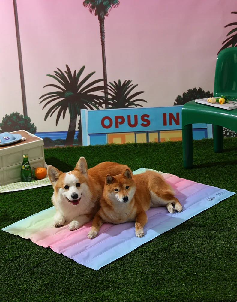 Regenbogen Kühlmatte für Hunde & Katzen faltbar