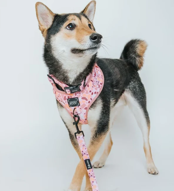 Terrazzo Collar