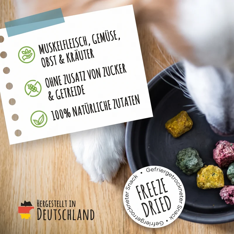 SmoothieDog Bites Klassik Paket, Hundesnacks 3 × 40 g