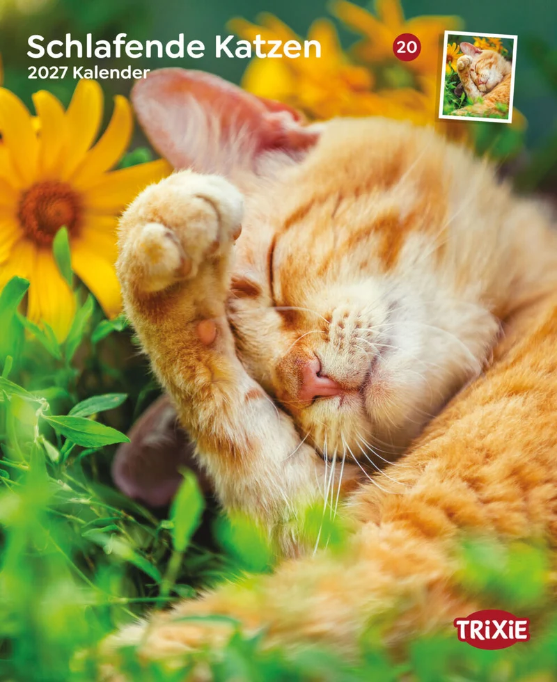 Kalender Schlafende Katzen