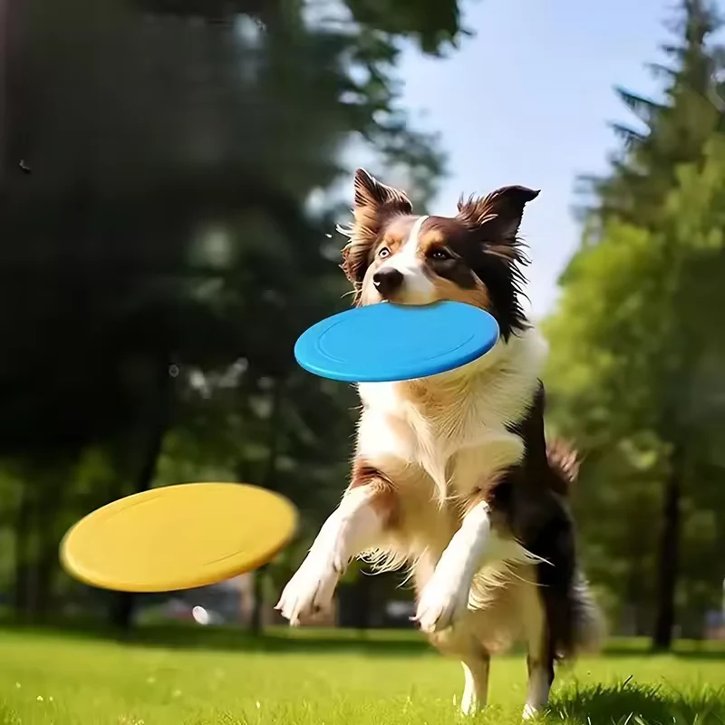 Silikon Hunde-Frisbee weich & bissfest