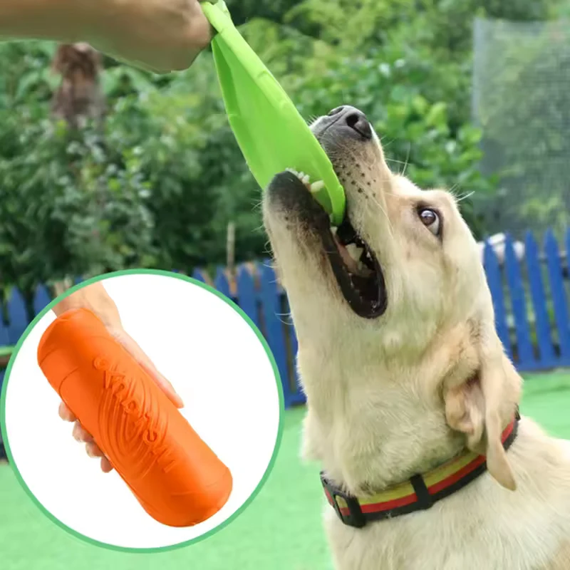 Silikon Hunde-Frisbee weich & bissfest