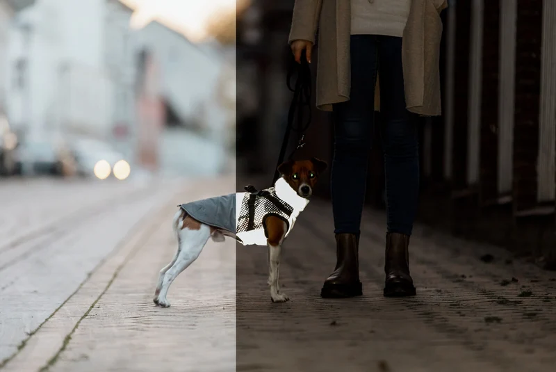 vollreflektierender Geschirr-Wintermantel Pontis Reflect für Hunde, wasserdicht