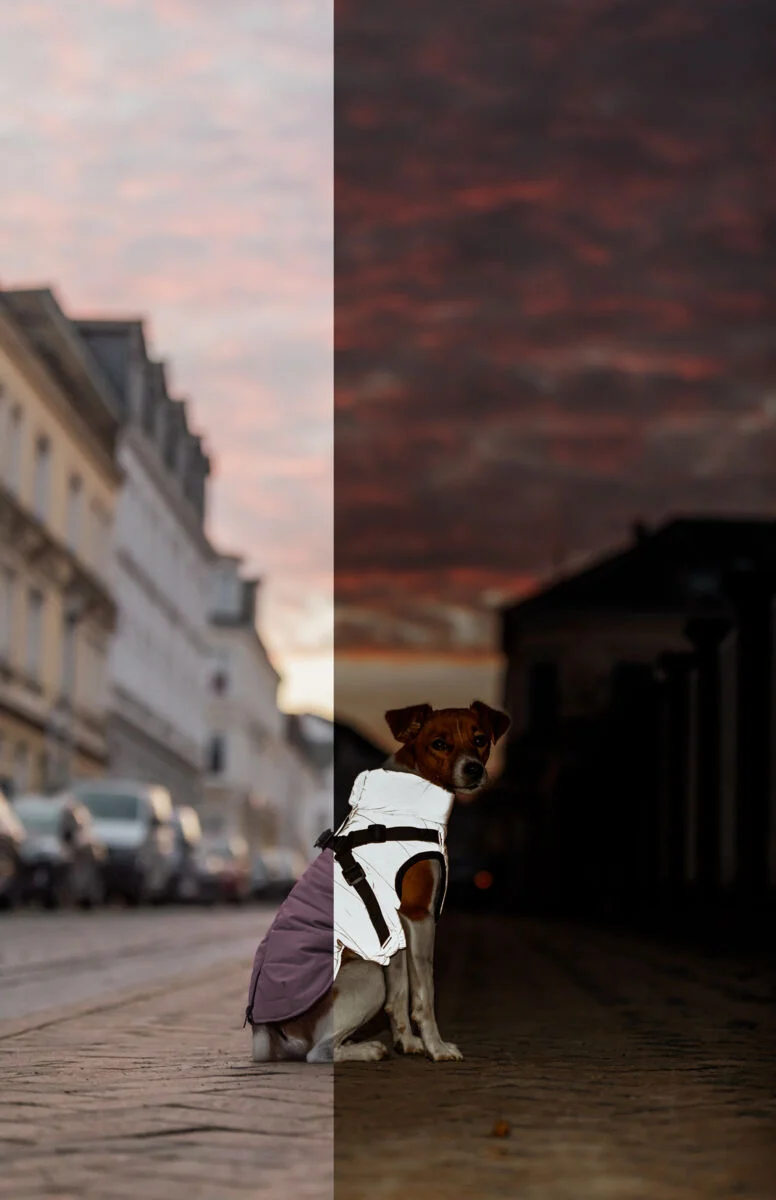 vollreflektierender Geschirr-Wintermantel Pontis Reflect für Hunde, wasserdicht