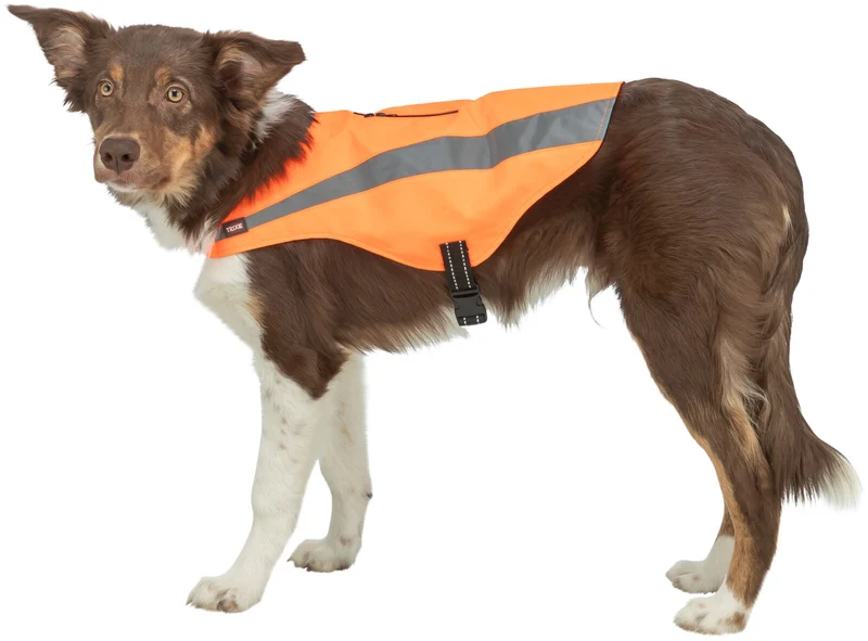 Sicherheitsweste für Hunde mit Bauchgurt und Reißverschluss am Rücken