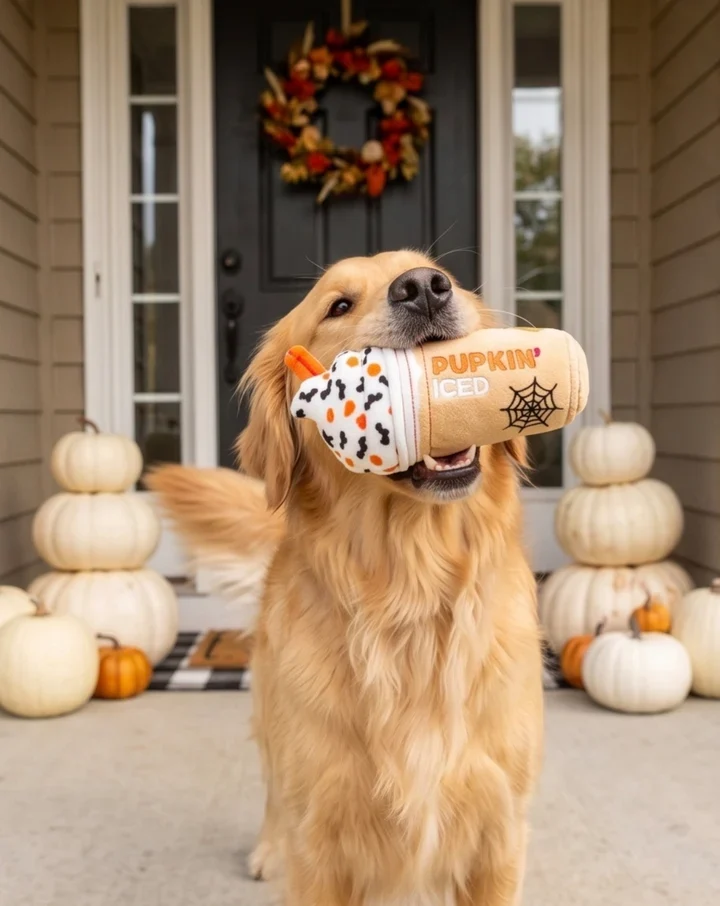 Pupkin' Donuts Iced Coffee