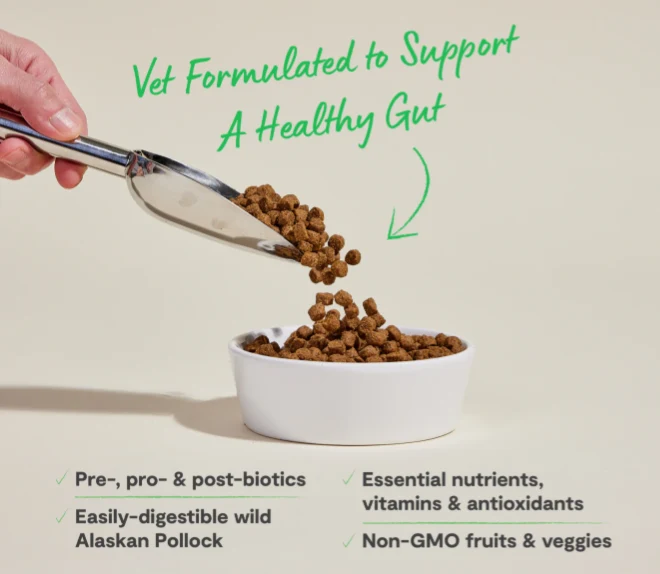 Open Farm Digestive Health Dry Food