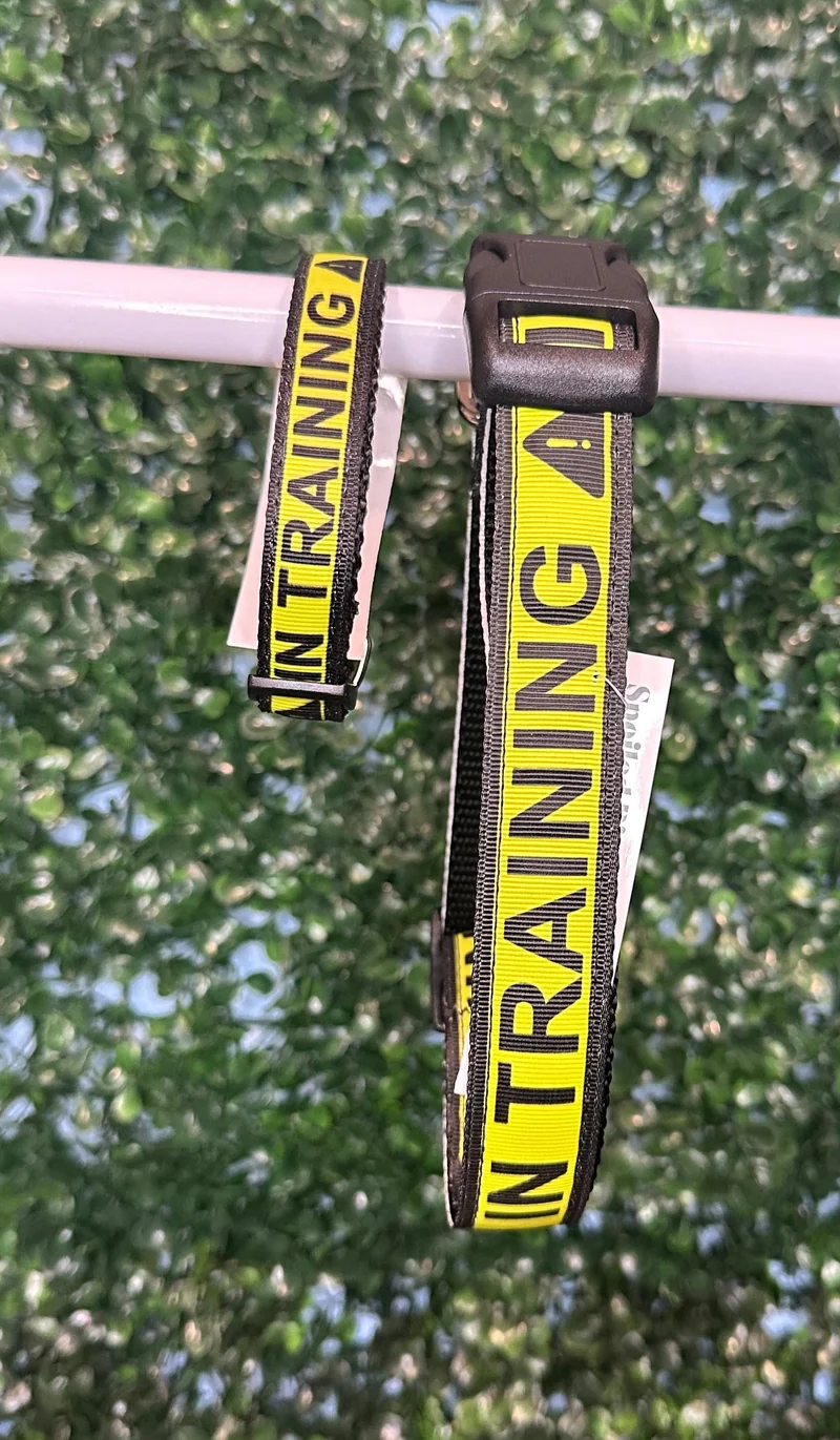 In Training Collar