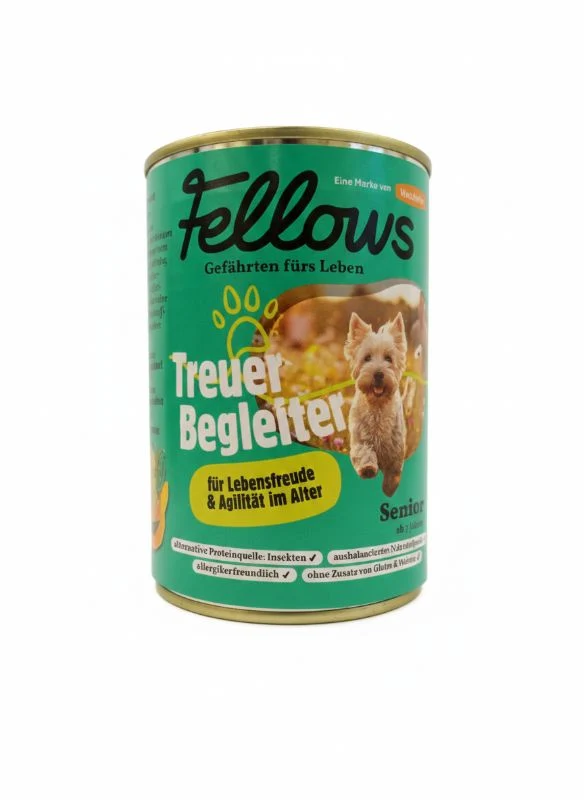 Fellows Treuer Begleiter