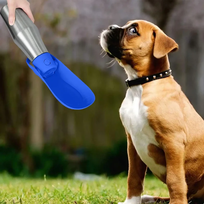 800-ml-Edelstahl-PET-Trinkflasche für unterwegs