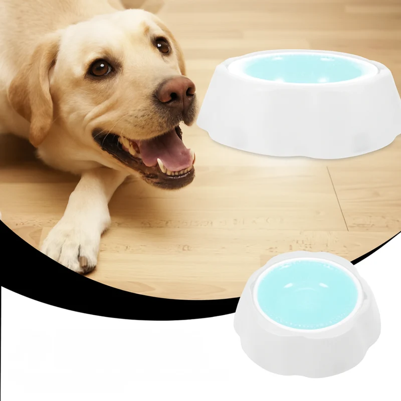 Kühlender Futter- und Wassernapf für Hunde und Katzen