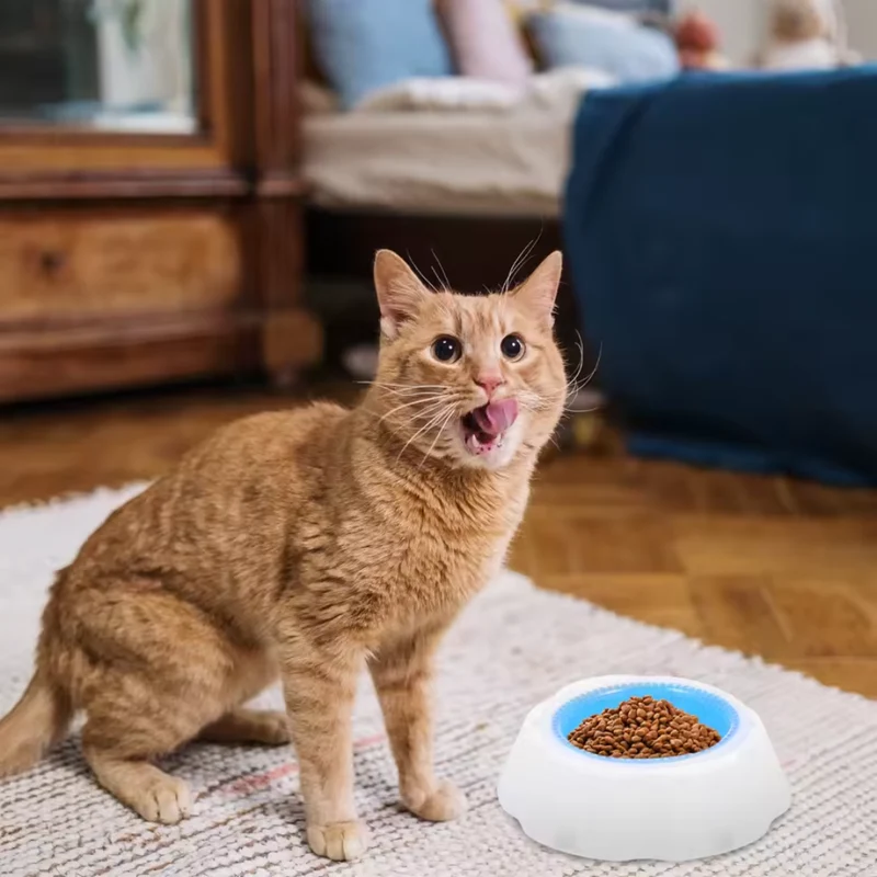 Kühlender Futter- und Wassernapf für Hunde und Katzen