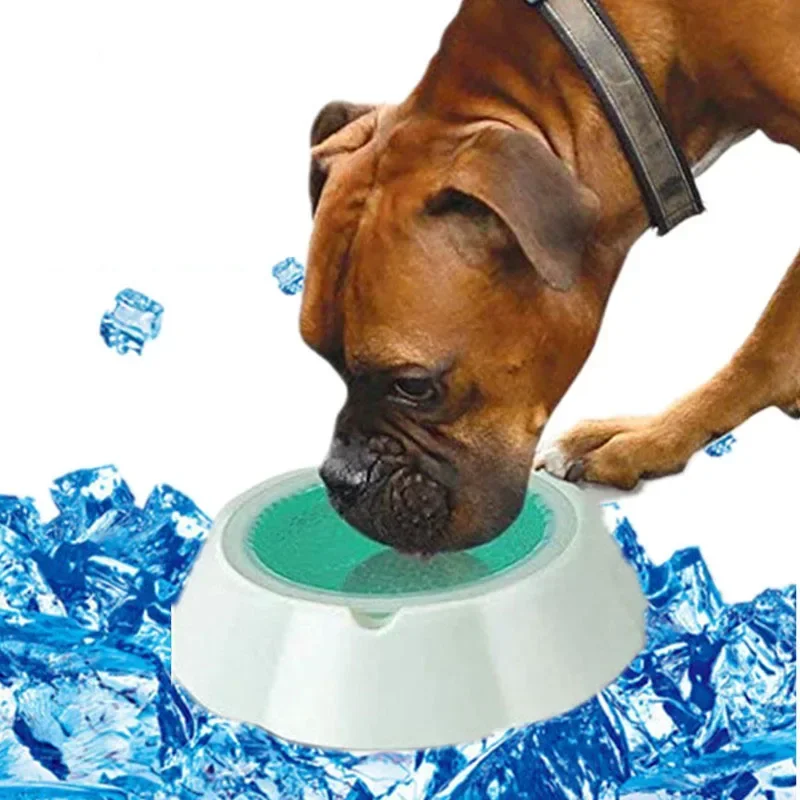 Kühlender Futter- und Wassernapf für Hunde und Katzen