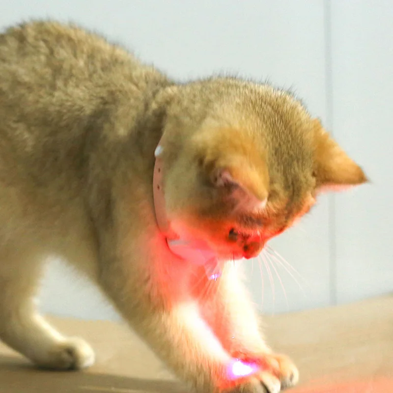 Freihändiges Laserhalsband für Katzen