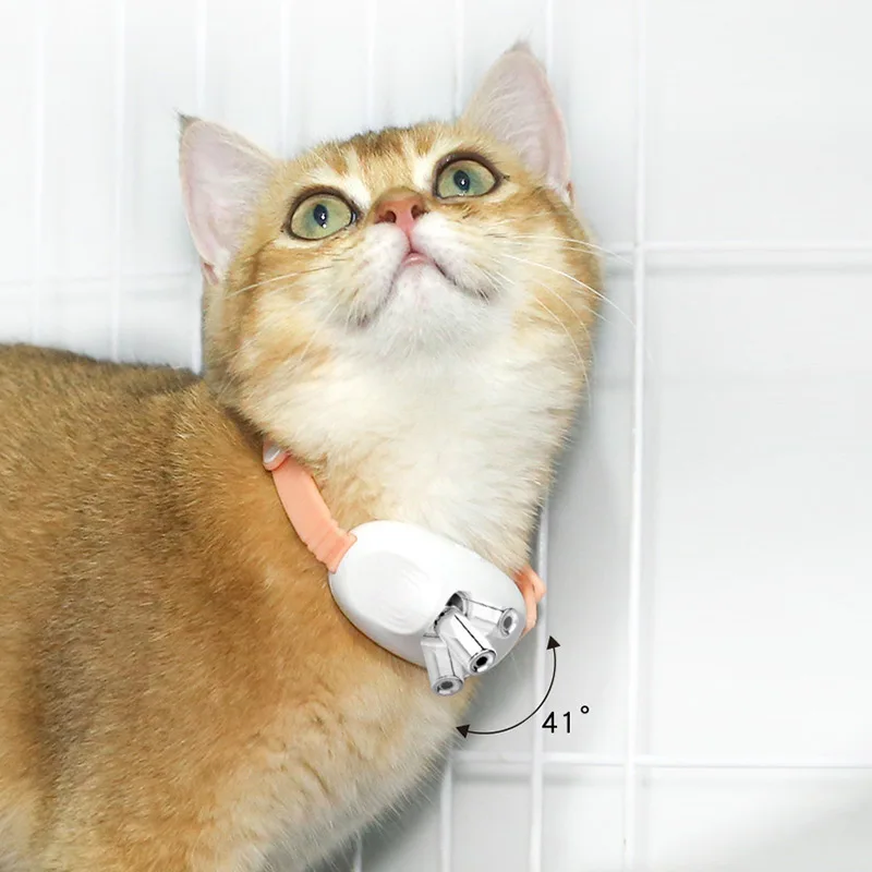 Freihändiges Laserhalsband für Katzen
