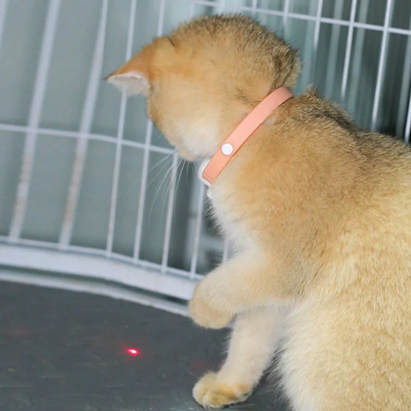 Freihändiges Laserhalsband für Katzen
