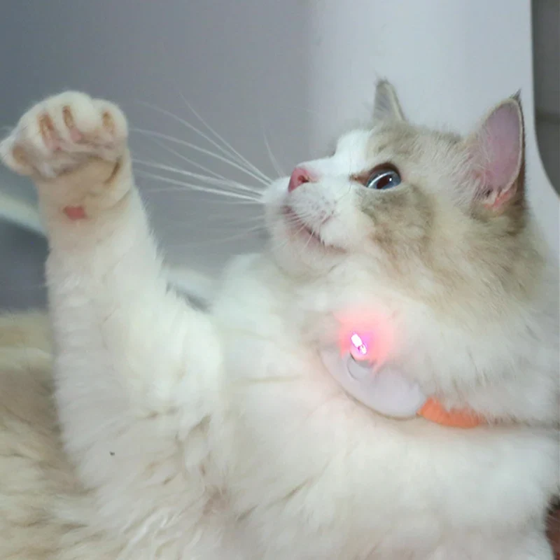 Freihändiges Laserhalsband für Katzen