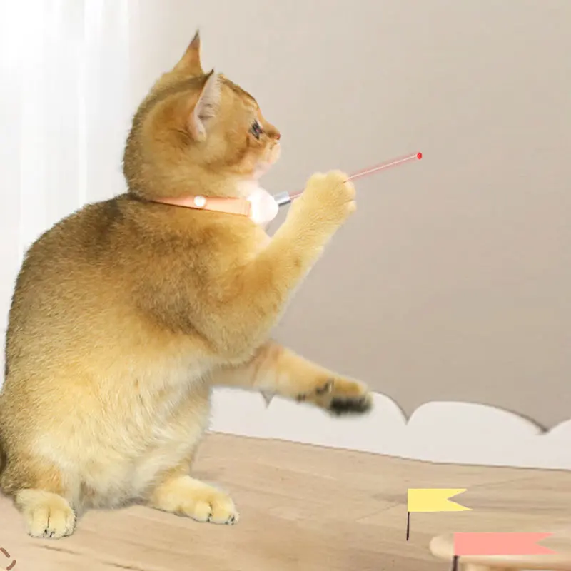 Freihändiges Laserhalsband für Katzen