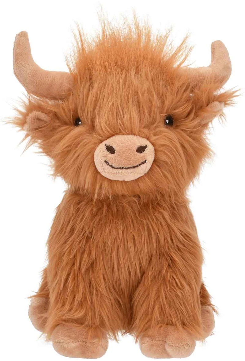 Highland Cow