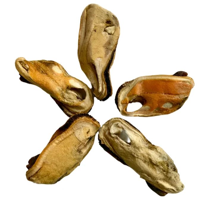 Green-Lipped Mussels