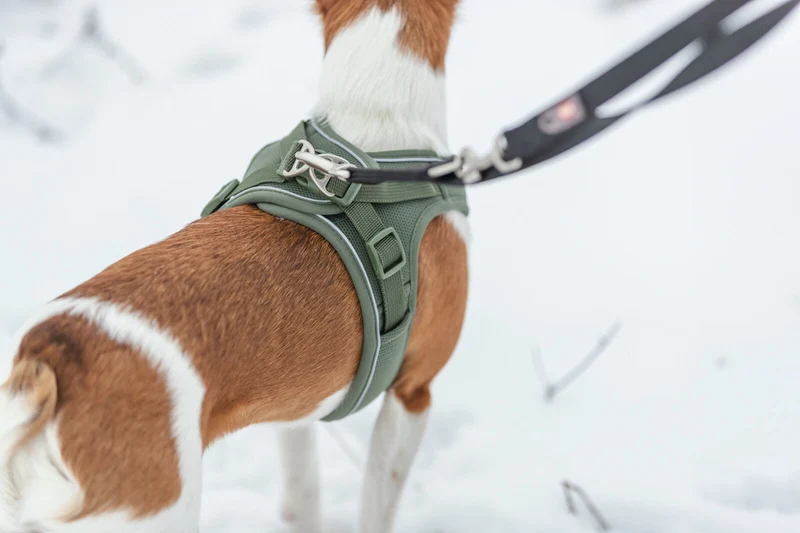 Atmungsaktives Hundegeschirr Premium UrbanVest mit verstellbarem Bauchgurt