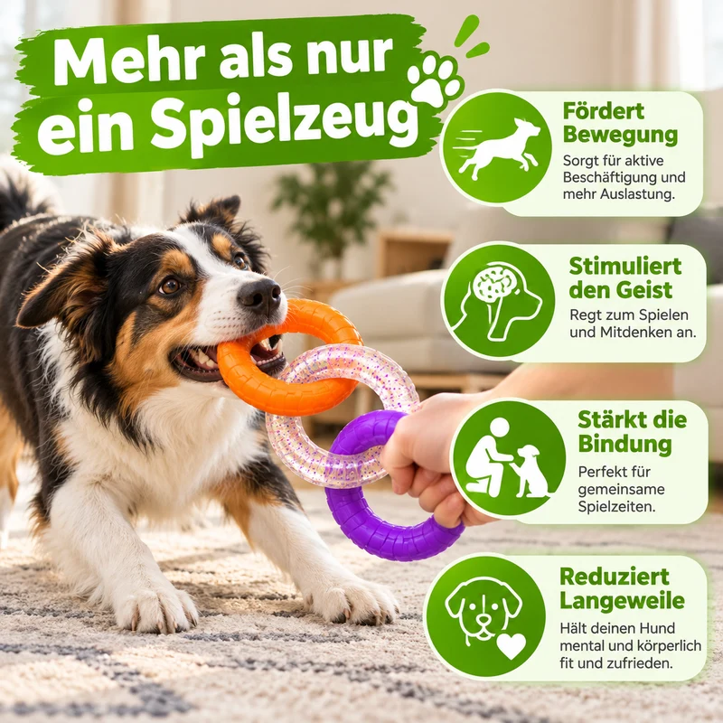 3 Ring Kauspielzeug für Hunde robust und zahnschonend