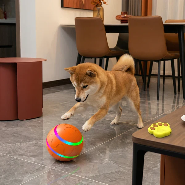 Interaktiver LED-Spielball mit Fernbedienung