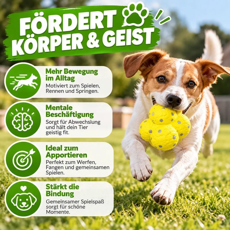 Beißfester Spielball für Hunde und Katzen