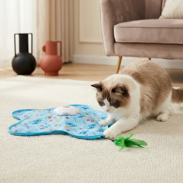 Elektrisches Versteckspiel Katzenspielzeug mit Feder & Sensor