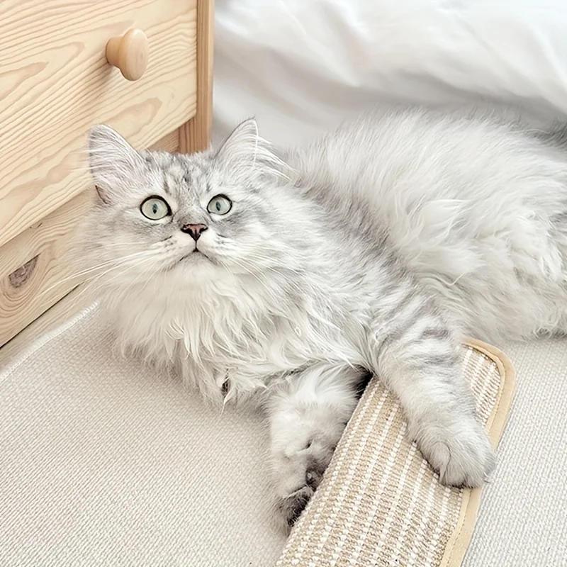 Kratzkissen für Katzen mit Catnip langlebig und robust