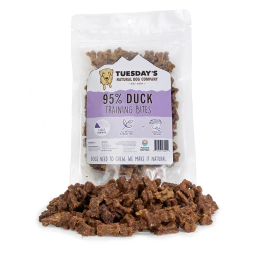 Tuesday's Duck Training Bites