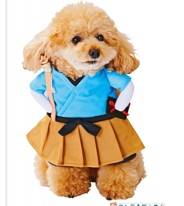 Kostüme für Hunde & Katzen für Fotoshootings
