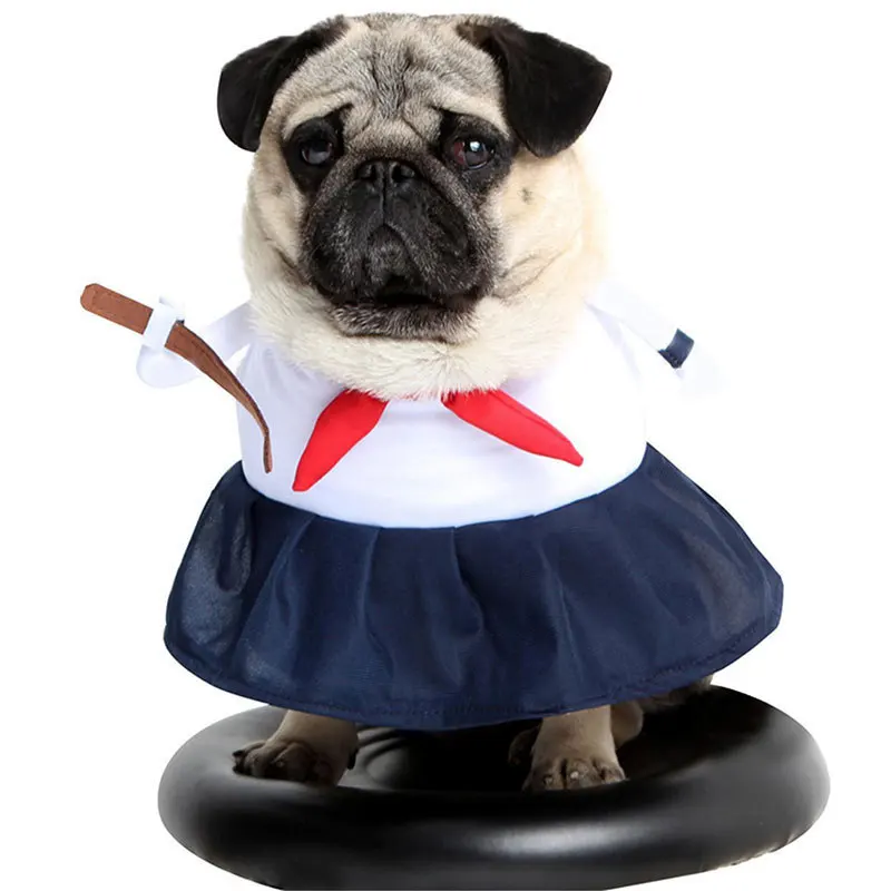 Kostüme für Hunde & Katzen für Fotoshootings
