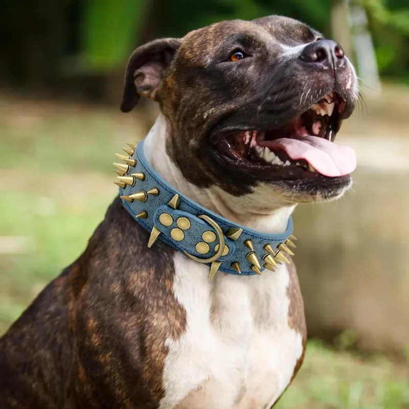 Hundehalsband mit Nieten für große Hunde