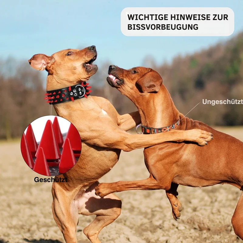 Hundehalsband mit Nieten für große Hunde