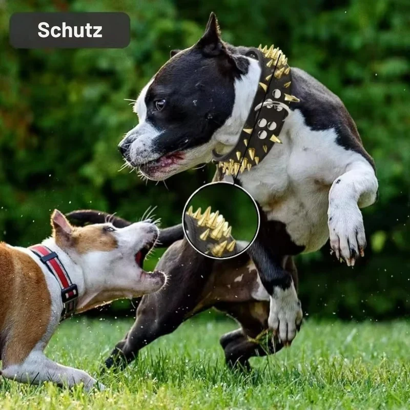 Hundehalsband mit Nieten für große Hunde