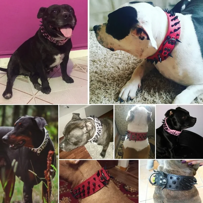 Hundehalsband mit Nieten für große Hunde