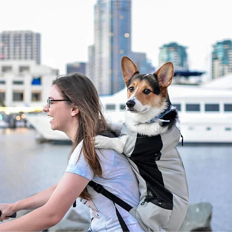 Atmungsaktiver Hunde-Rucksack für kleine & mittelgroße Hunde – sicher & bequem für Reisen, Outdoor & Spaziergänge