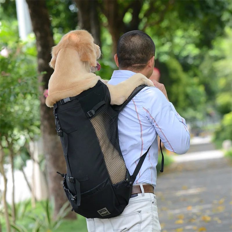 Atmungsaktiver Hunde-Rucksack für kleine & mittelgroße Hunde – sicher & bequem für Reisen, Outdoor & Spaziergänge