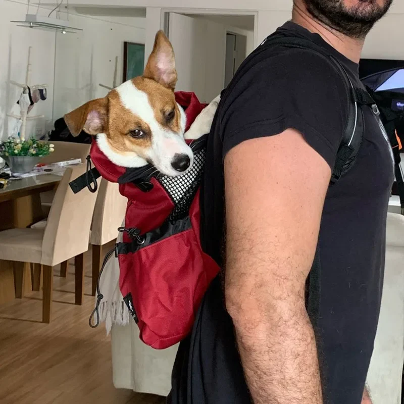 Atmungsaktiver Hunde-Rucksack für kleine & mittelgroße Hunde – sicher & bequem für Reisen, Outdoor & Spaziergänge