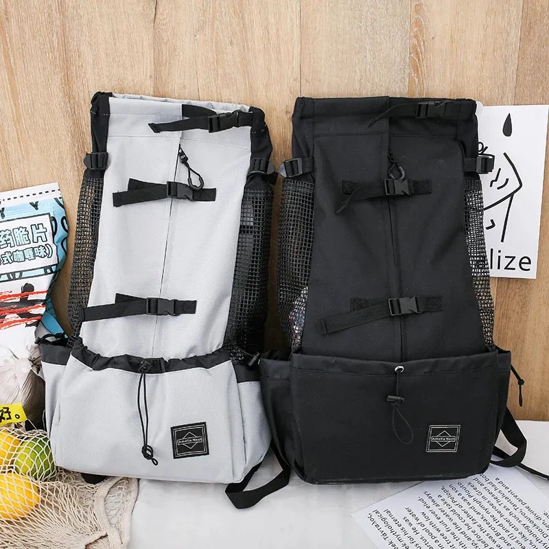 Atmungsaktiver Hunde-Rucksack für kleine & mittelgroße Hunde – sicher & bequem für Reisen, Outdoor & Spaziergänge
