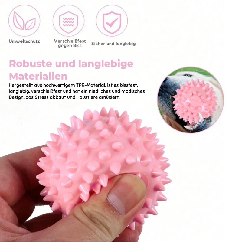 Zahnpflegeball für Hunde kaubar & robust