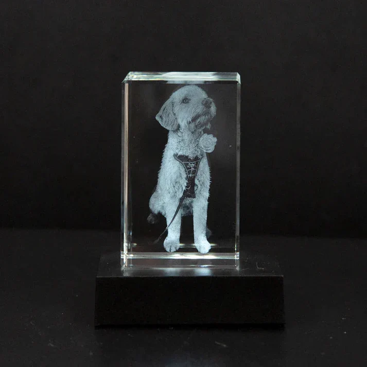 Personalisierter Haustier-Fotokristall mit 2D Gravur