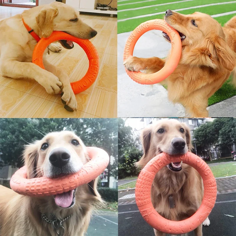 Schwimmender EVA Trainingsring für Hunde