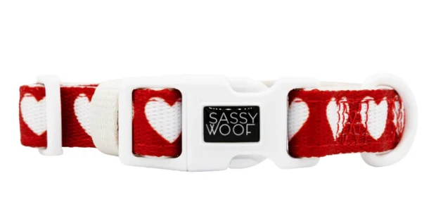 Little Love Collar